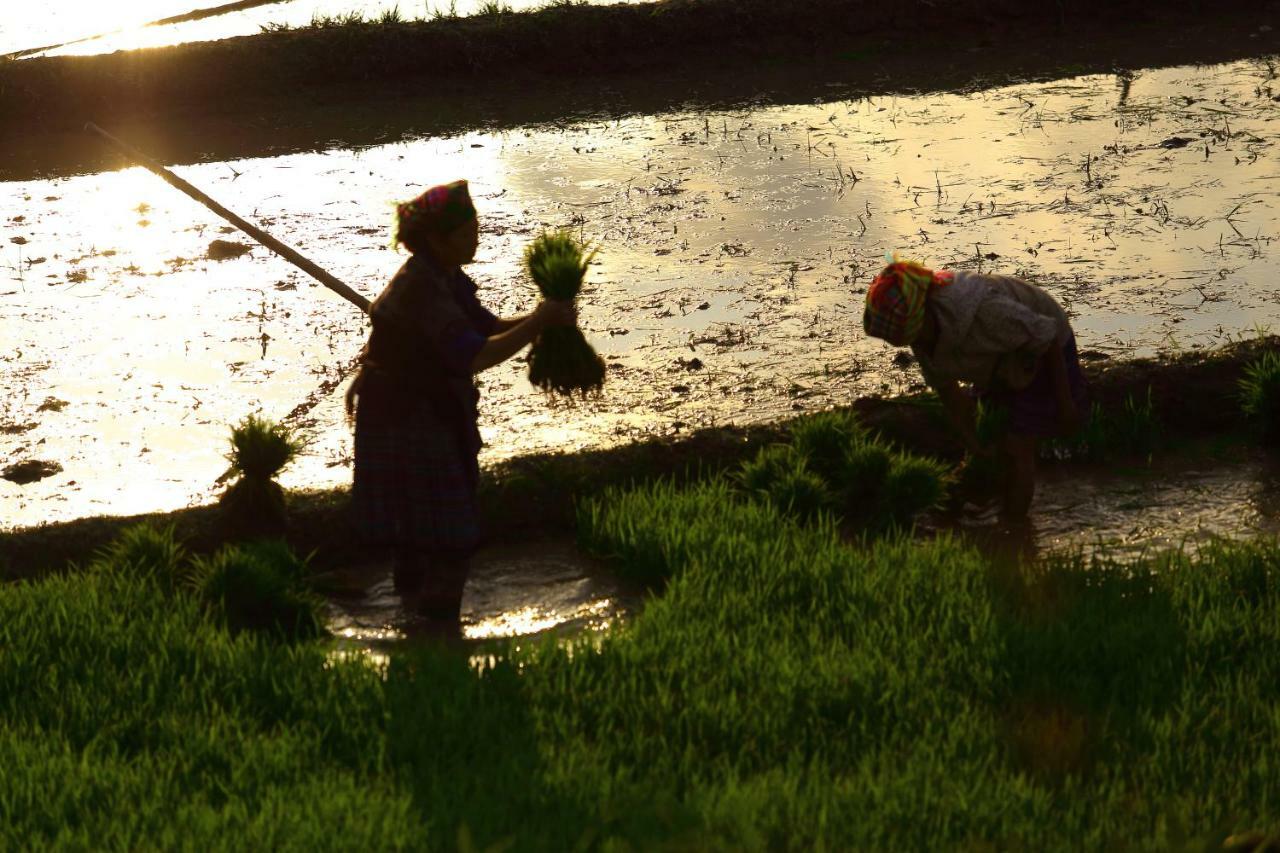Mu Cang Chai Eco Lodge Nam San Bagian luar foto