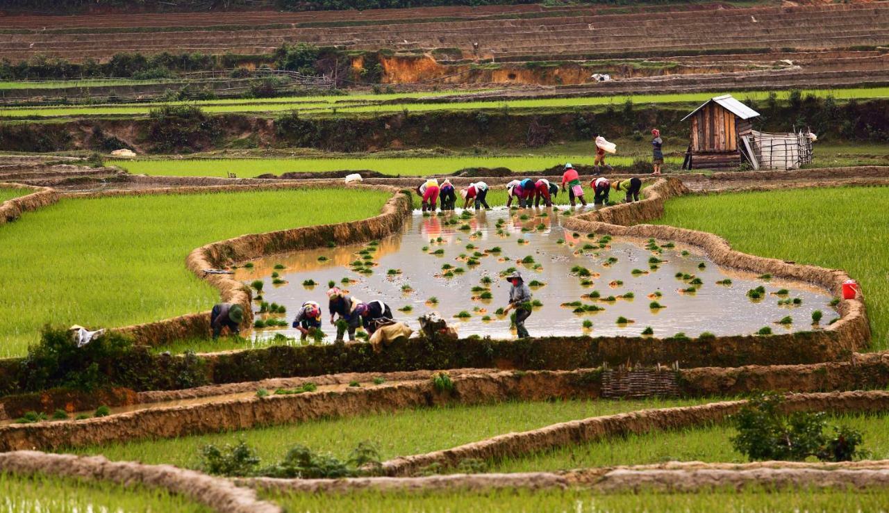Mu Cang Chai Eco Lodge Nam San Bagian luar foto