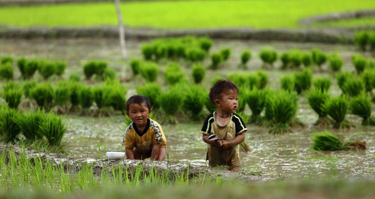 Mu Cang Chai Eco Lodge Nam San Bagian luar foto