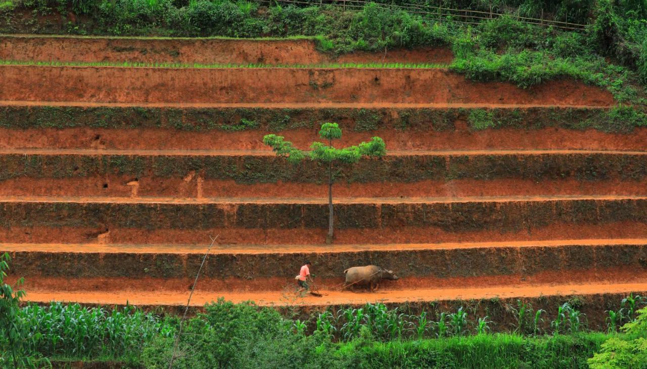 Mu Cang Chai Eco Lodge Nam San Bagian luar foto