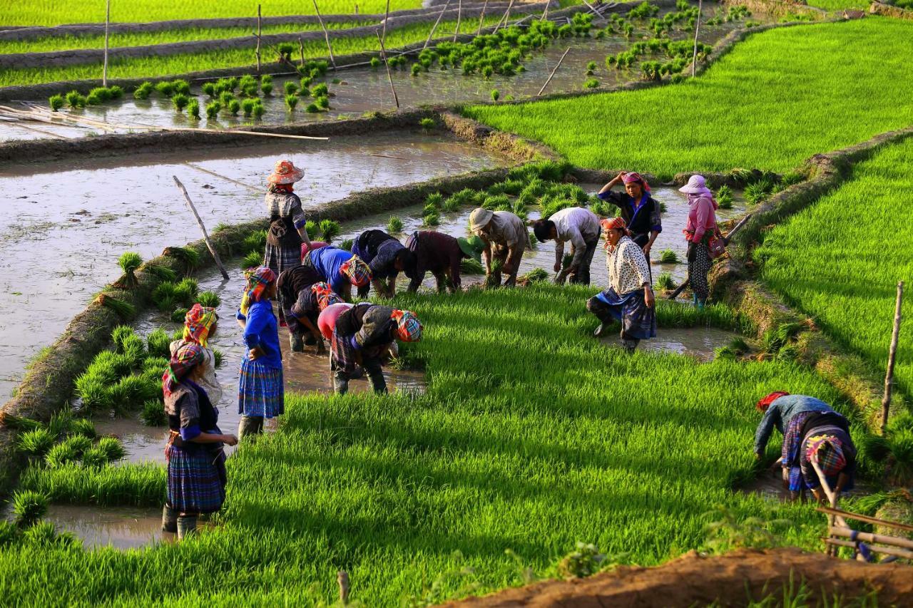Mu Cang Chai Eco Lodge Nam San Bagian luar foto