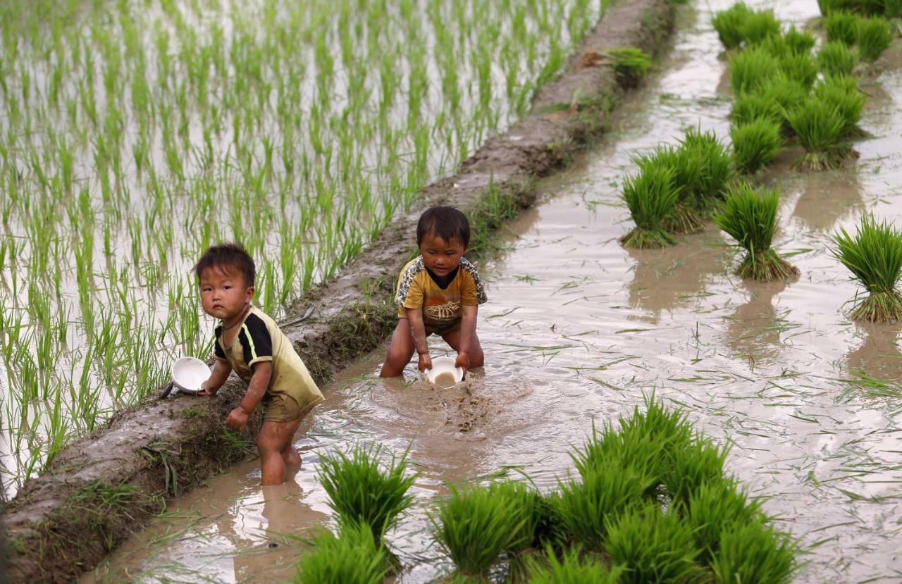 Mu Cang Chai Eco Lodge Nam San Bagian luar foto